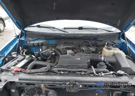 2010 Ford F-150 Stx/Xl z USA, uszkodzony, nr VIN 1FTEX1EW8AFA76665